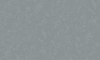 картинка ER Frédéric Обои виниловые на флизелиновой основе горячего тиснения  10,05х1,06м.;  арт. 61012-06 от магазина ТНП