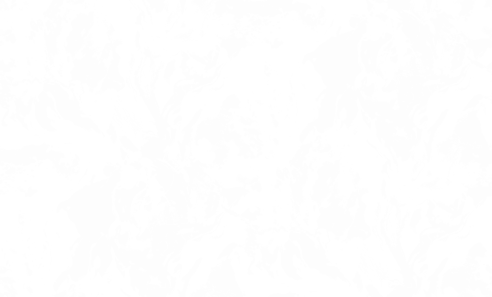 960x1280 f8107b43cc58b6562140d38f31d0580ada1e7c7b6b1ce2d0 - putmega (türkçe)