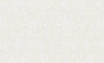 картинка ER Frédéric Обои виниловые на флизелиновой основе горячего тиснения  10,05х1,06м.;  арт. 61011-02 от магазина ТНП