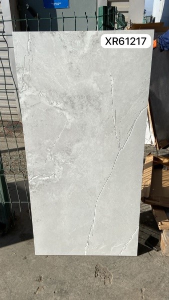 картинка Керамическая плитка XR61217 (120*60) от магазина ТНП