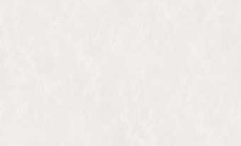 картинка ER Absolute Обои виниловые на флизелиновой основе горячего тиснения 10,05х1,06м; арт.60885-02 от магазина ТНП