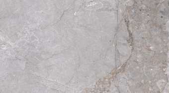 картинка Керамогранитная плитка Fior di bosco grey 60x120 от магазина ТНП