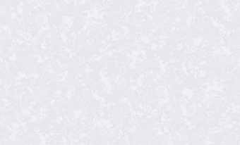 картинка ER Frédéric Обои виниловые на флизелиновой основе горячего тиснения  10,05х1,06м.;  арт. 61012-03 от магазина ТНП