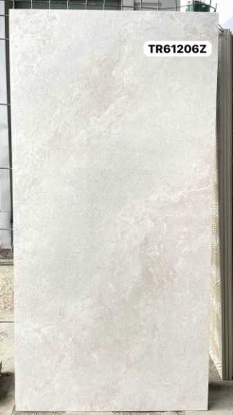 картинка Керамические плиты TR61206Z матовый (120*60) от магазина ТНП