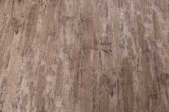 картинка Дерево ПРО / Derevo PRO PR72634-28 Обои виниловые на флизелиновой основе от магазина ТНП