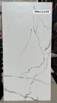 картинка Керамическая плитка TR61216T матовый (120*60)  от магазина ТНП