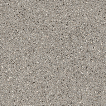 картинка Линолеум MASTER PROXI 2_0887 - 3 м от магазина ТНП