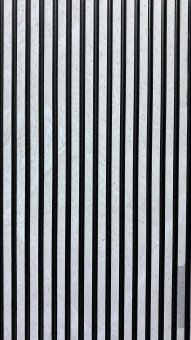 картинка Лувер WP Q24059 150*2900mm от магазина ТНП