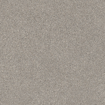 картинка Линолеум MASTER PROXI 2_0887 - 4 м от магазина ТНП